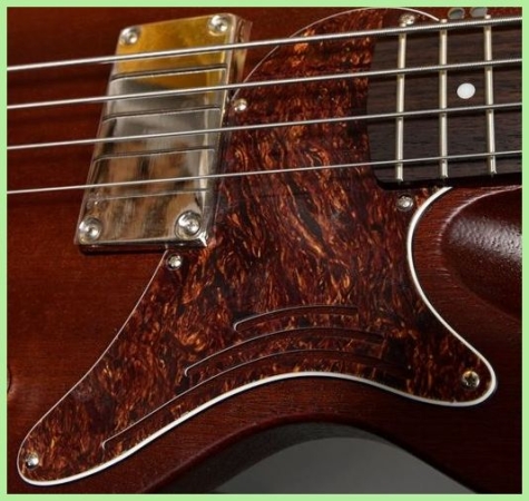 Sandberg Florence Bass Pickguard, Tortoise